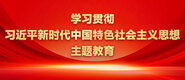 啊用你的打几把干死我留白浆了学习贯彻习近平新时代中国特色社会主义思想主题教育_fororder_ad-371X160(2)